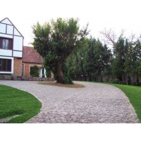 AMBIENTE PEDRA PARALELEPIPEDO